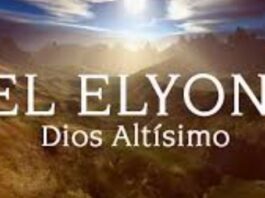 La supremacía revelativa trino por sobre la afirmativa netro